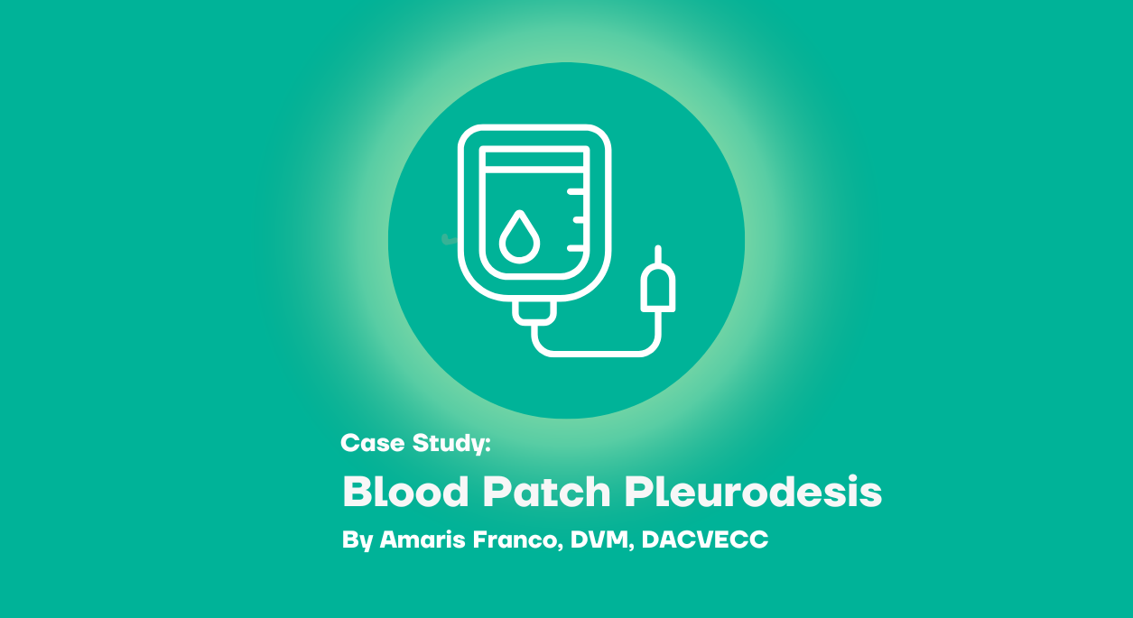 Blood Patch Pleurodesis