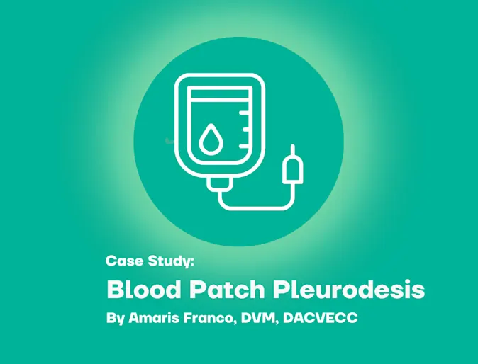 Blood Patch Pleurodesis Blood Patch Pleurodesis