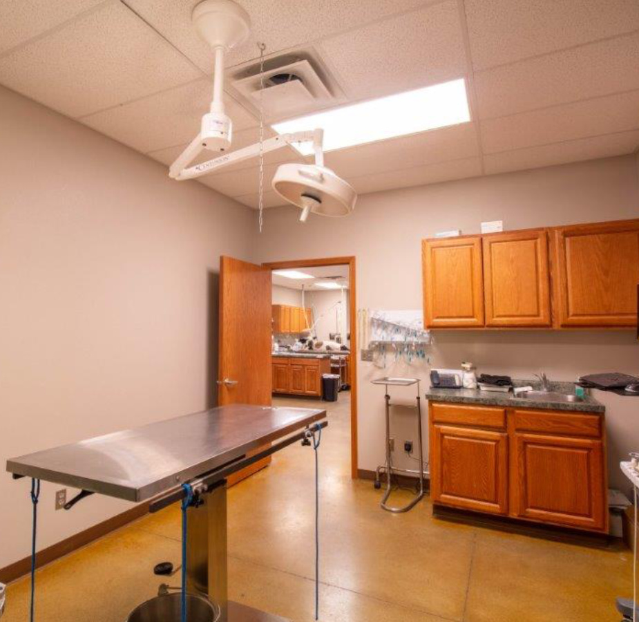 A photo of the surgery room at Dunes Animal Hospital