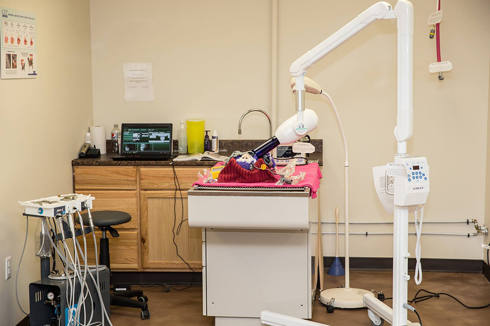 Burnside Veterinary Hospital Dental Room