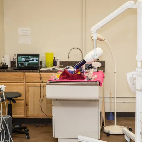 Burnside Veterinary Hospital Dental Room