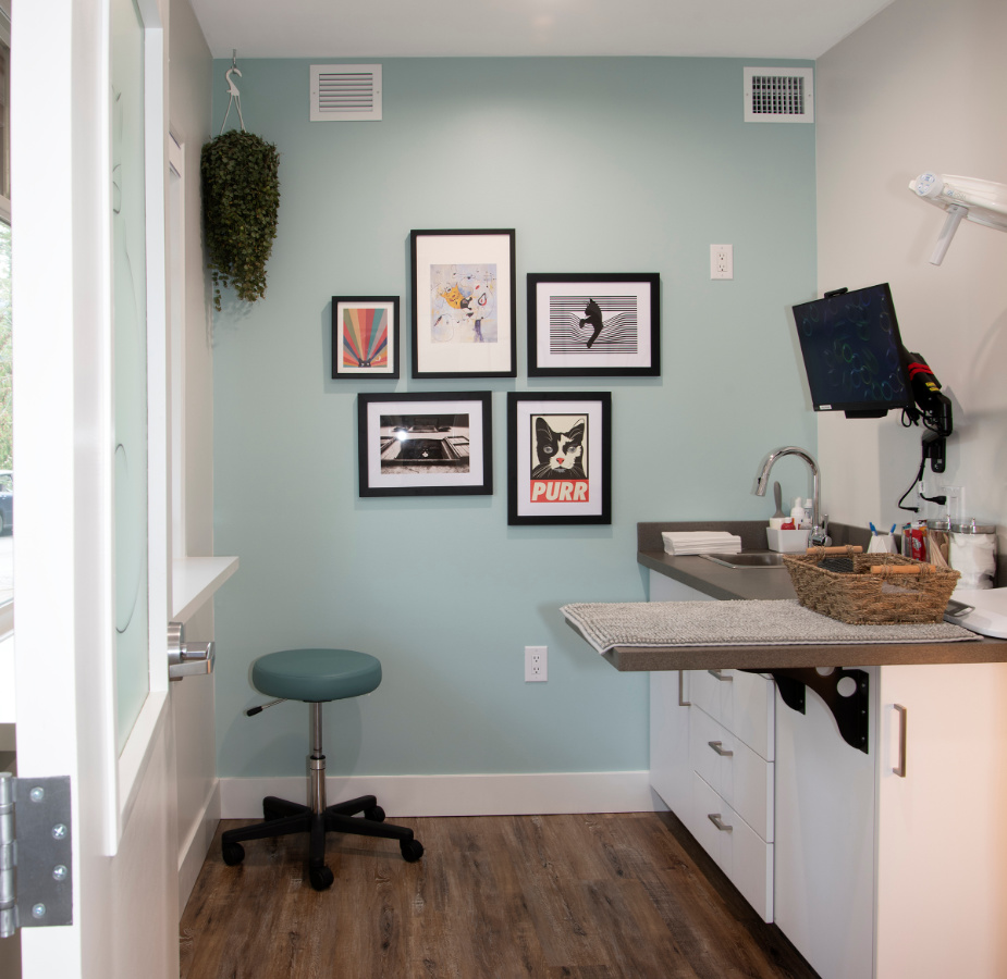 Main exam room with photos on the wall and computer