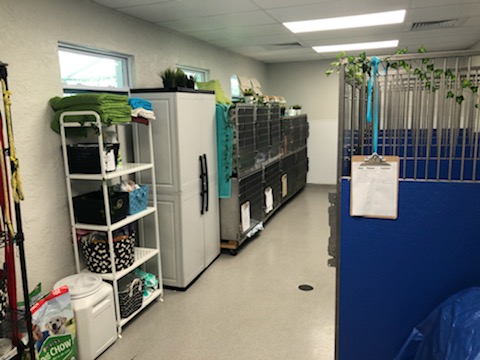 Kennel room at Vero Beach Veterinary Hospital