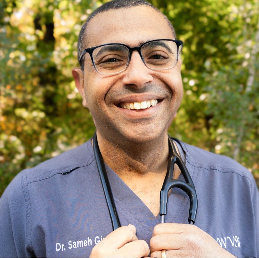 Dr. Sameh Girgis