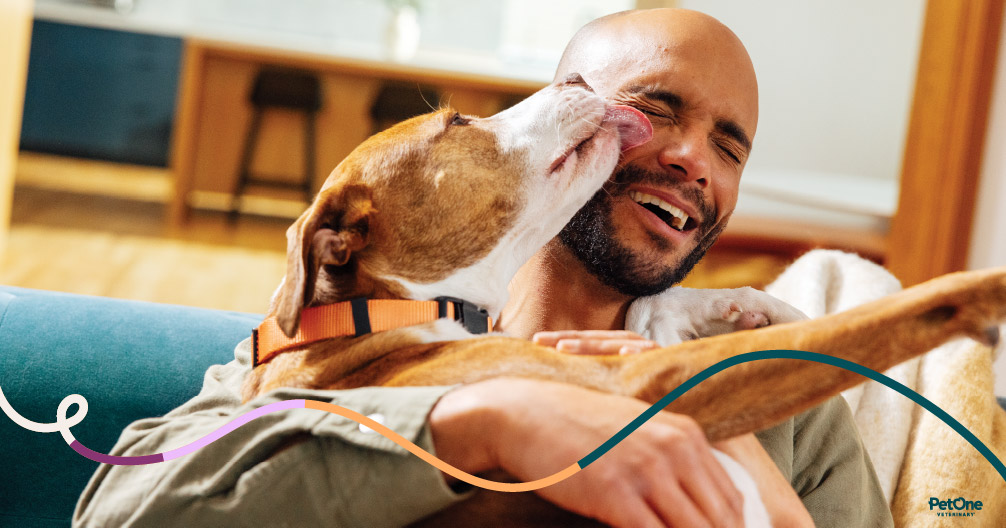 City Creatures Animal Hospital