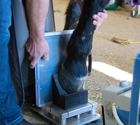 Balance Films Balance Films