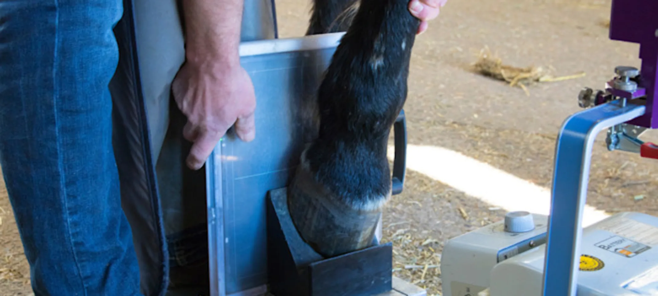 Balance Films Balance Films