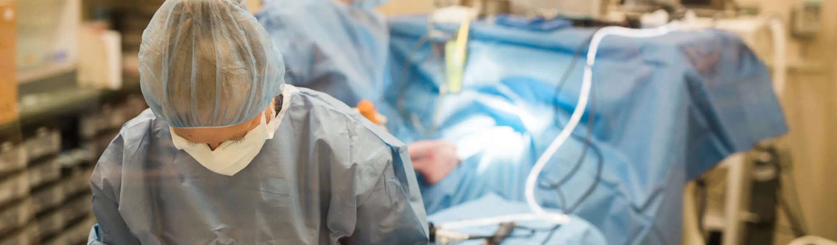 Vets conducting surgery in operating room Vets conducting surgery in operating room