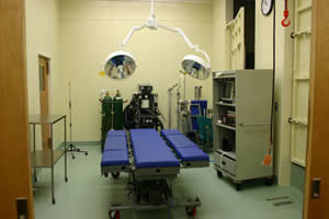 Vet performing surgery