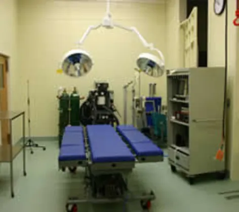 Vet performing surgery Vet performing surgery