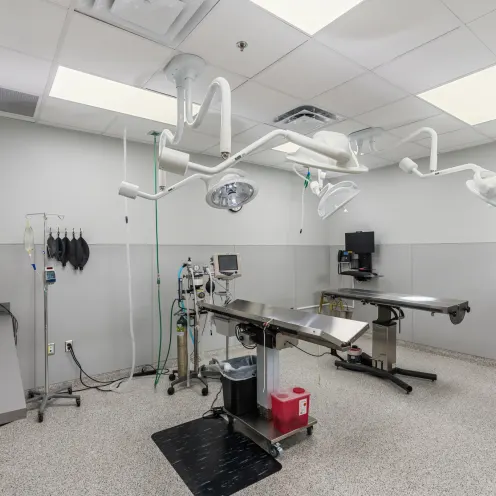 Surgery Area Surgery Area