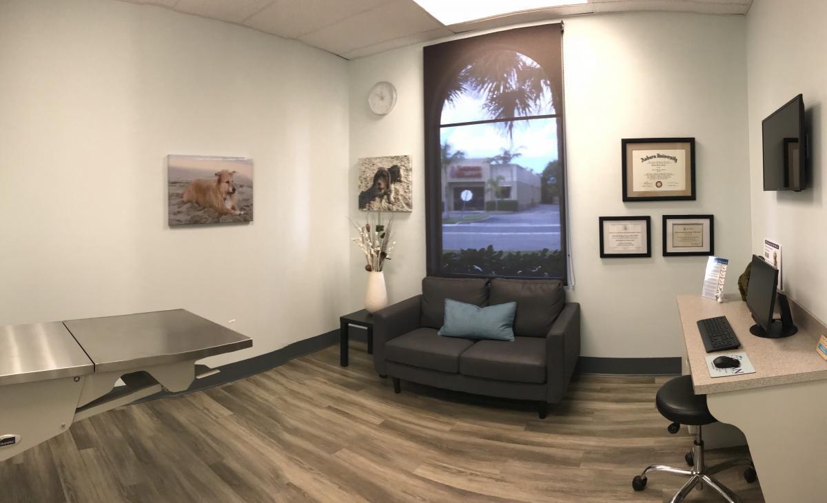 A comfortable examination room in Specialists in Companion Animal Neurology (SCAN)'s Naples location
