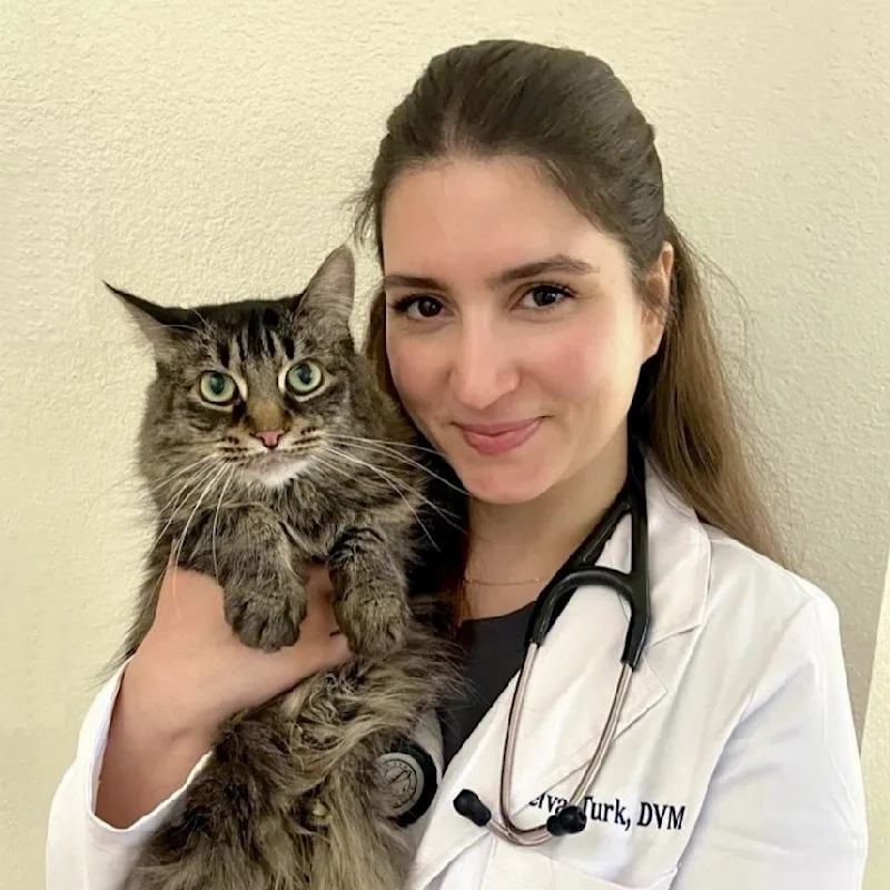 Dr. Selva Turk Dr. Selva Turk