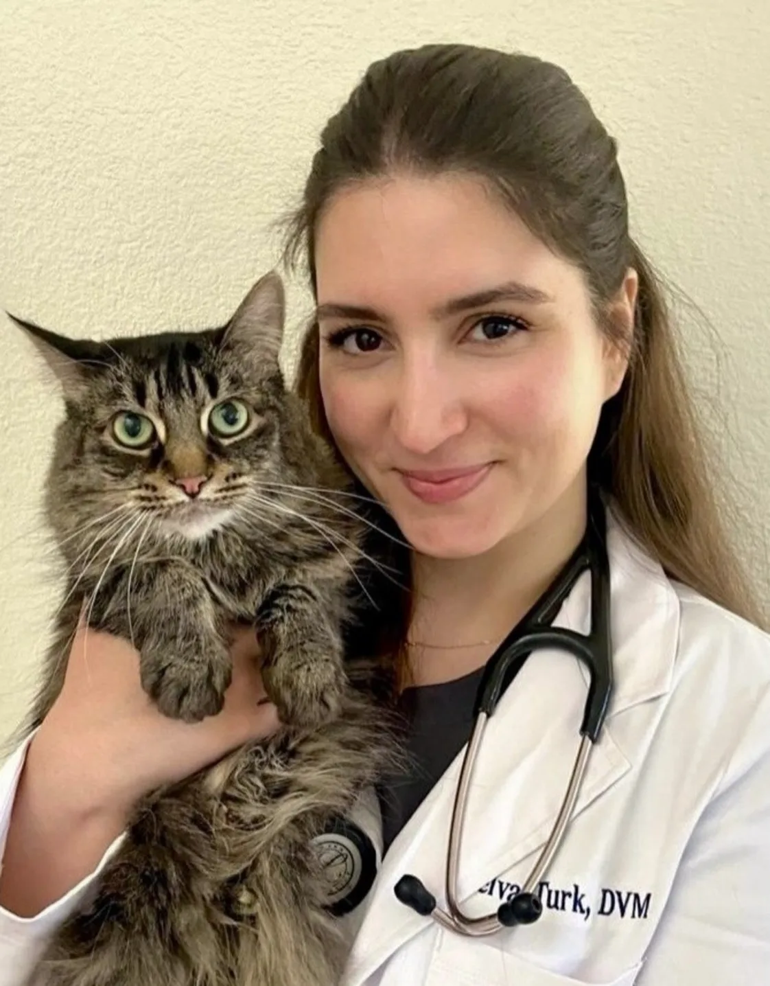 Dr. Selva Turk Dr. Selva Turk