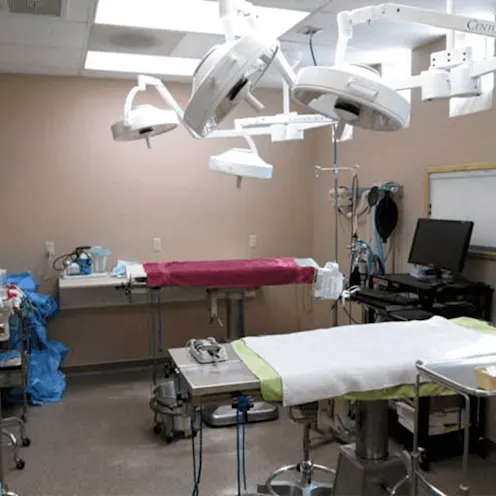 Palm Glen Animal Hospital procedure room Palm Glen Animal Hospital procedure room