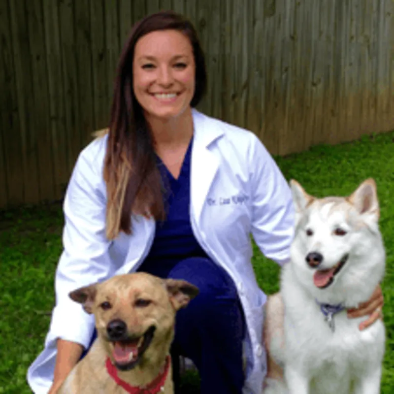 Dr. Lisa Kingsley Dr. Lisa Kingsley