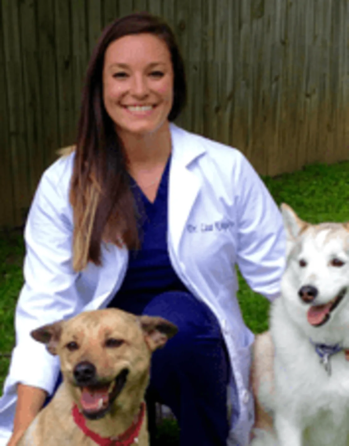 Dr. Lisa Kingsley Dr. Lisa Kingsley