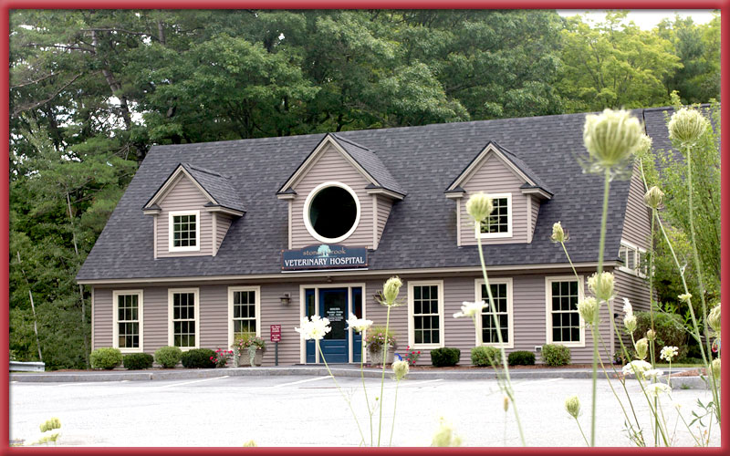 Exterior of Stoney Brook Veterinary Hospital
