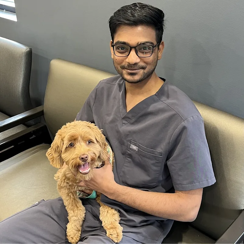 Dr. Mohan Korada Dr. Mohan Korada