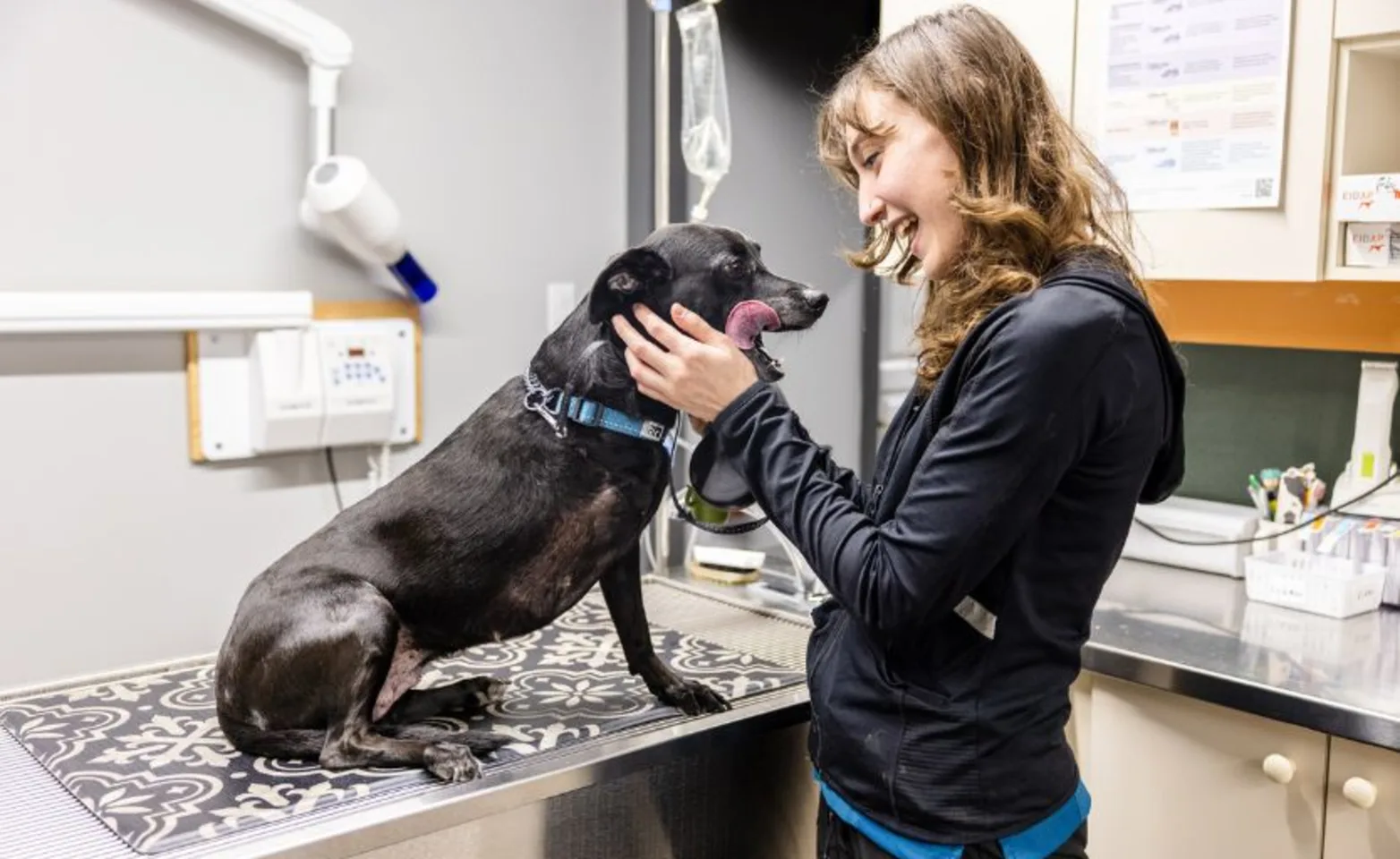 Doctor petting black dog Doctor petting black dog