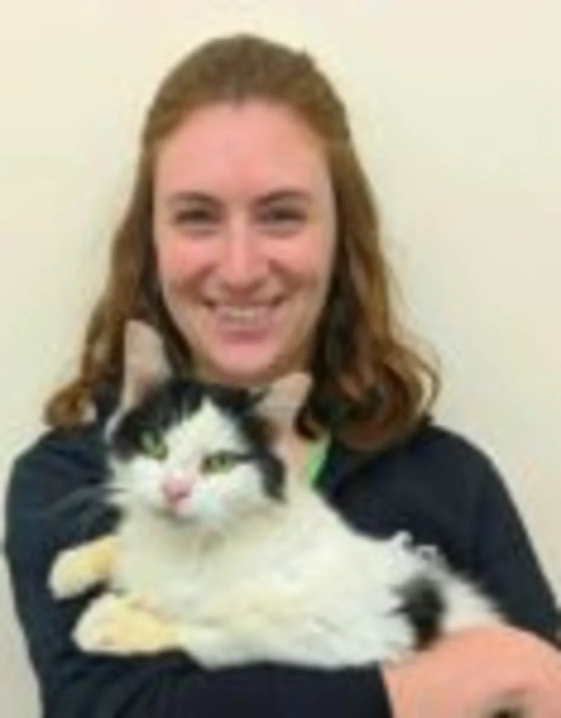 Haley Ford at Henniker Veterinary Hospital Haley Ford at Henniker Veterinary Hospital
