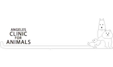 Animal Hospital in Port Angeles, WA | Angeles Clinic for Animals