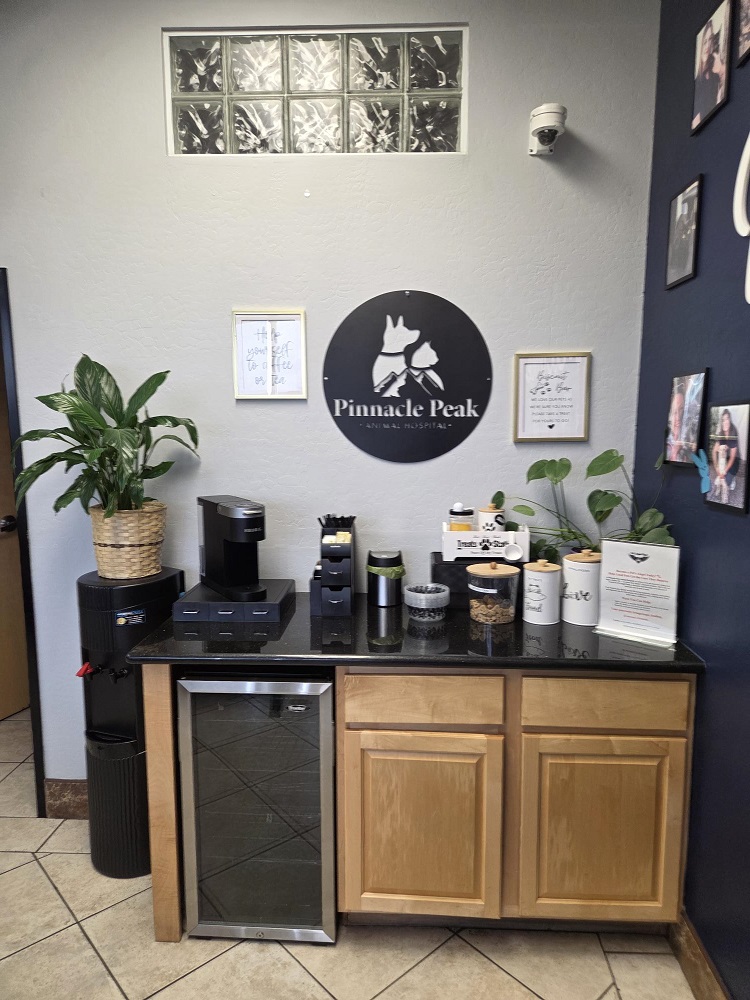 Treat and Coffee Bar