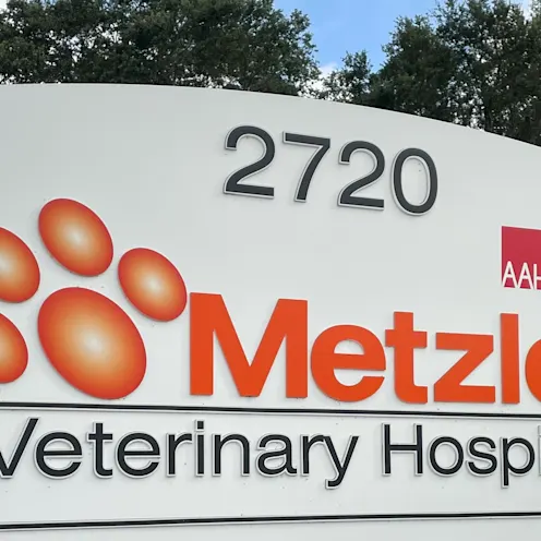 Metzler Veterinary Hospital front signage with bushes and grass Metzler Veterinary Hospital front signage with bushes and grass
