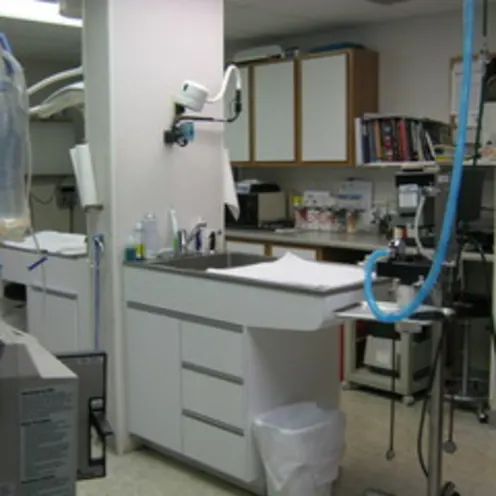 Treatment and Surgical Preparation Room