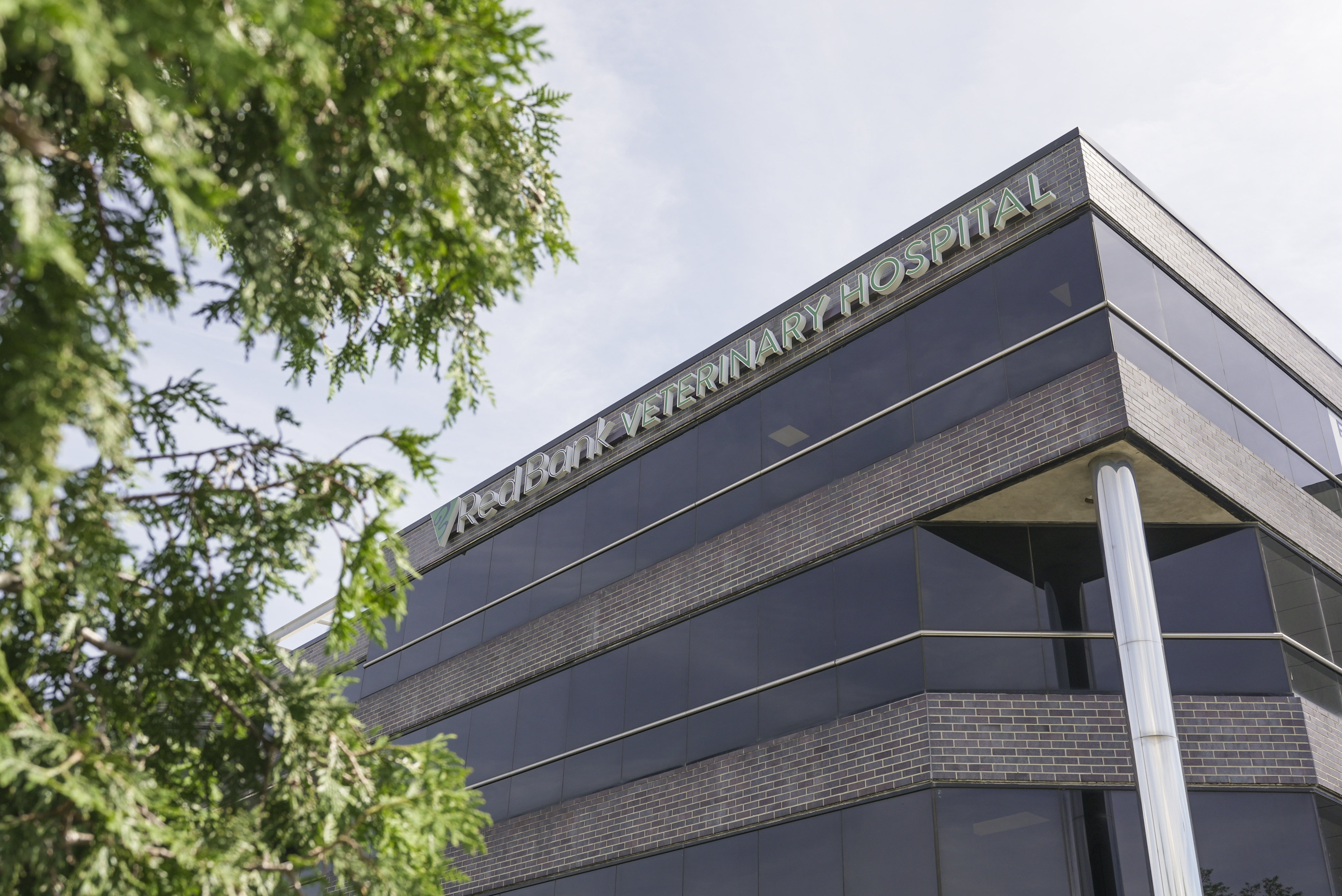 Red Bank Veterinary Hospital Tinton Falls facility