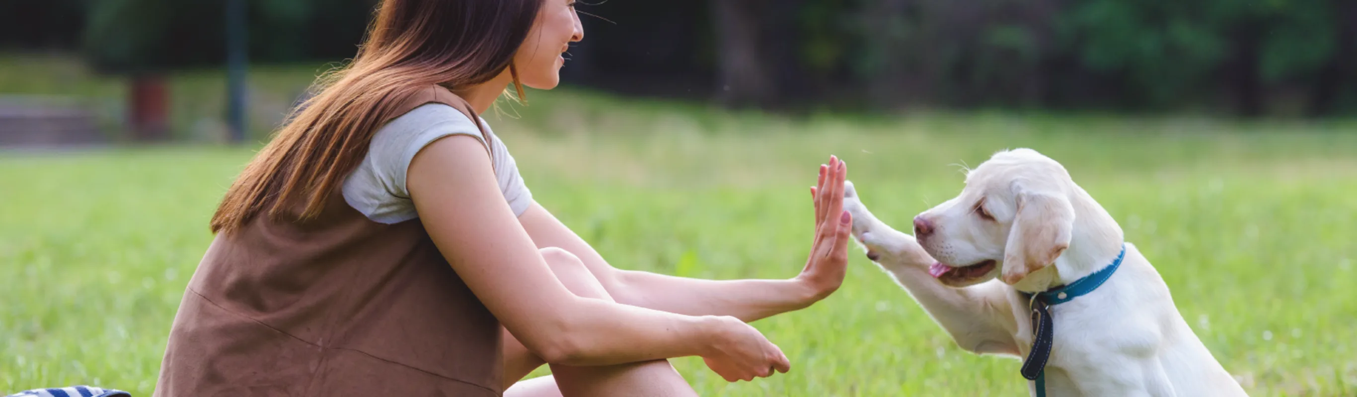 Dog high-fiving girl at New Haven Pet Hospital Dog high-fiving girl at New Haven Pet Hospital