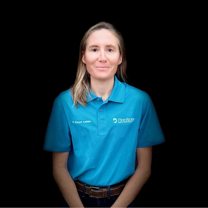 Dr. Karyn Labbe Dr. Karyn Labbe