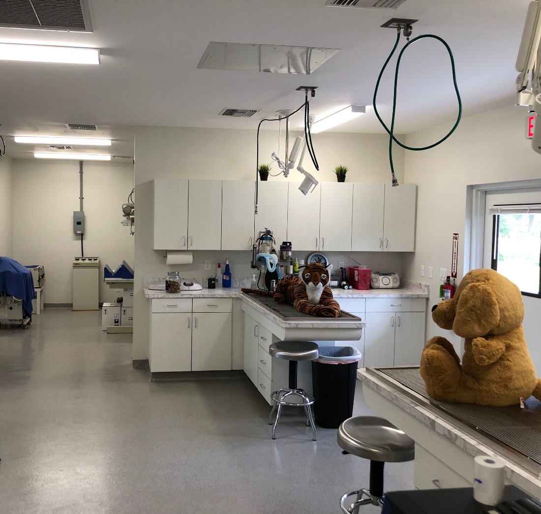 Treatment area with large stuffed animals on metal operating tables