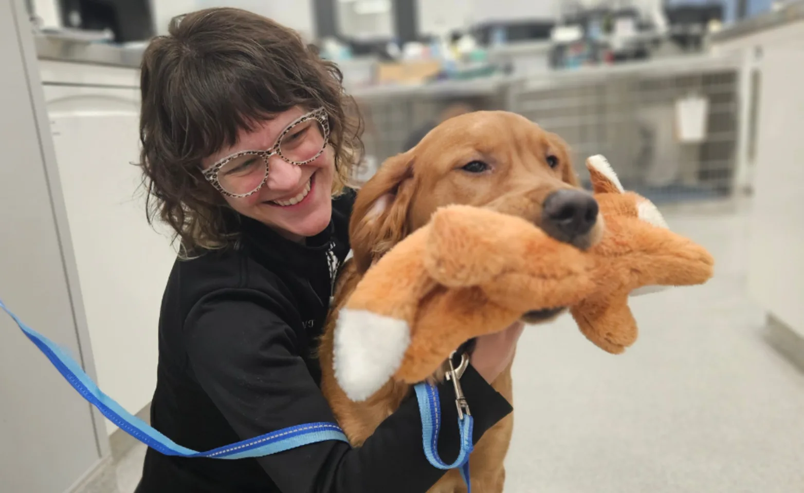 LVT holding a dog with a toy LVT holding a dog with a toy