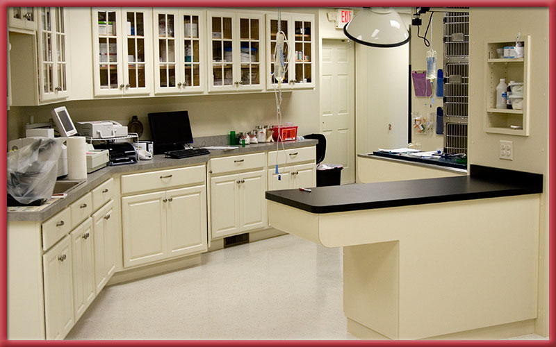 Stoney Brook Veterinary Hospital X-ray room