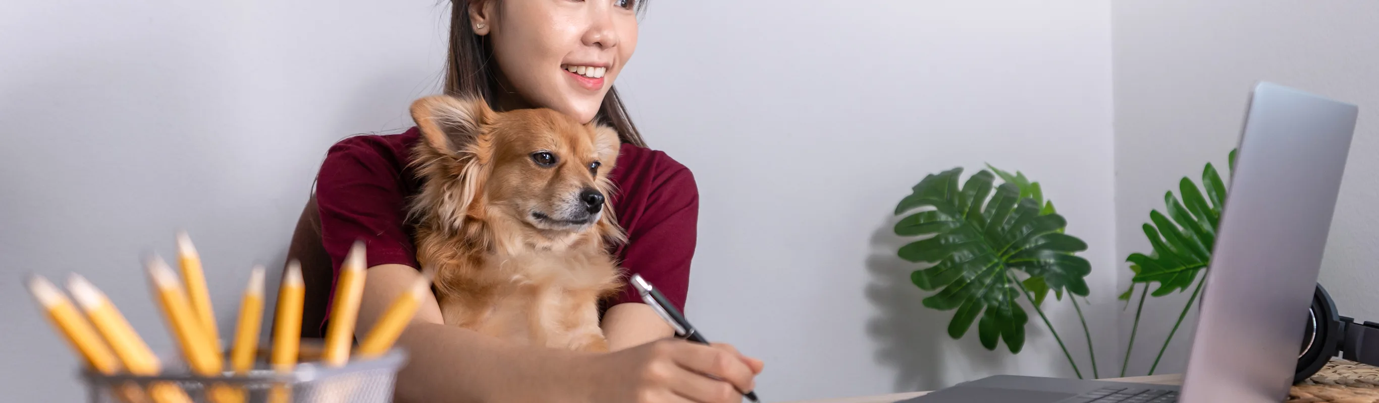 Woman with dog and laptop