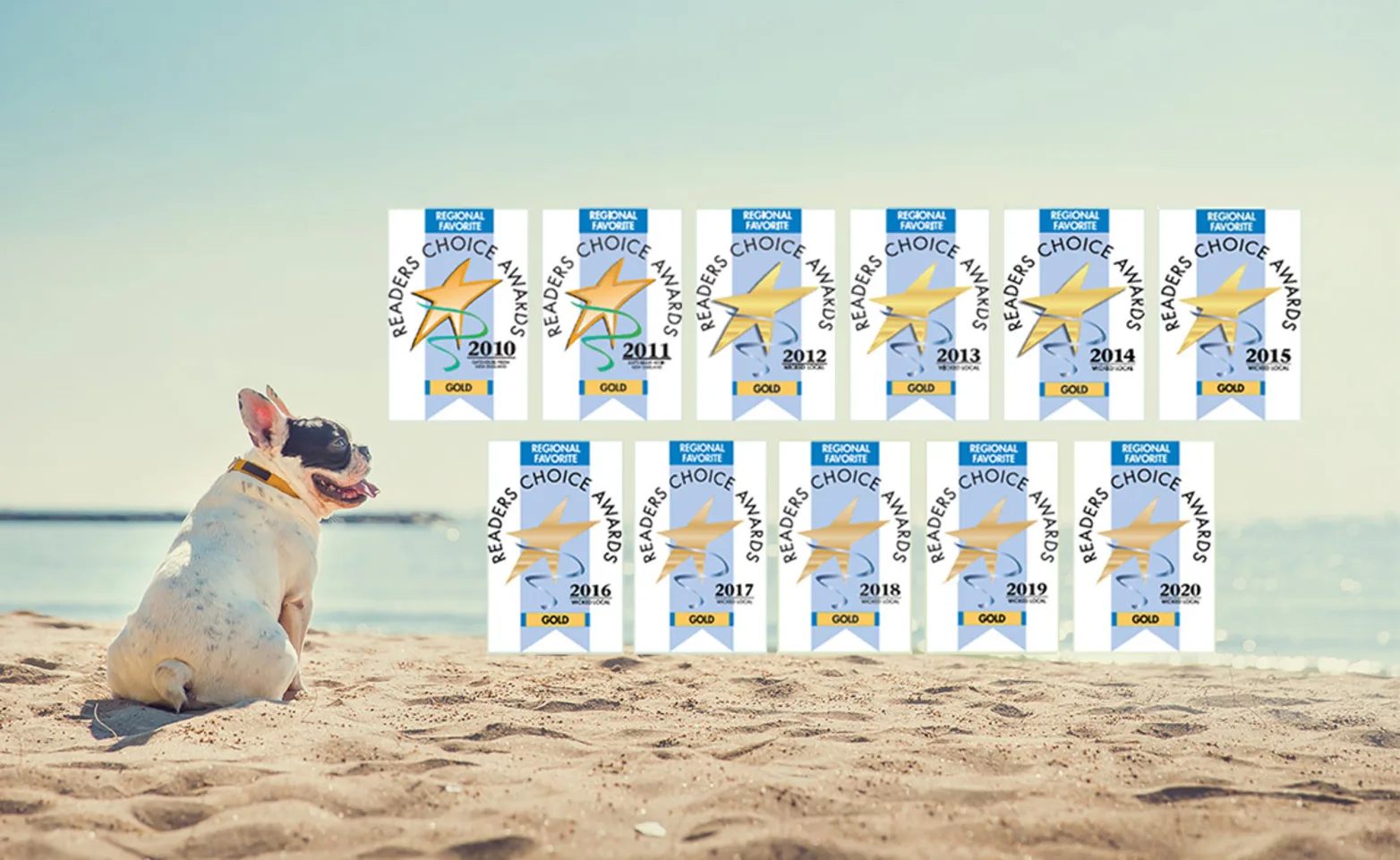Small bulldog sitting on the left at the beach with 11 years straight of Reader's Choice Awards for Court Street Animal Hospital on the right Small bulldog sitting on the left at the beach with 11 years straight of Reader's Choice Awards for Court Street Animal Hospital on the right