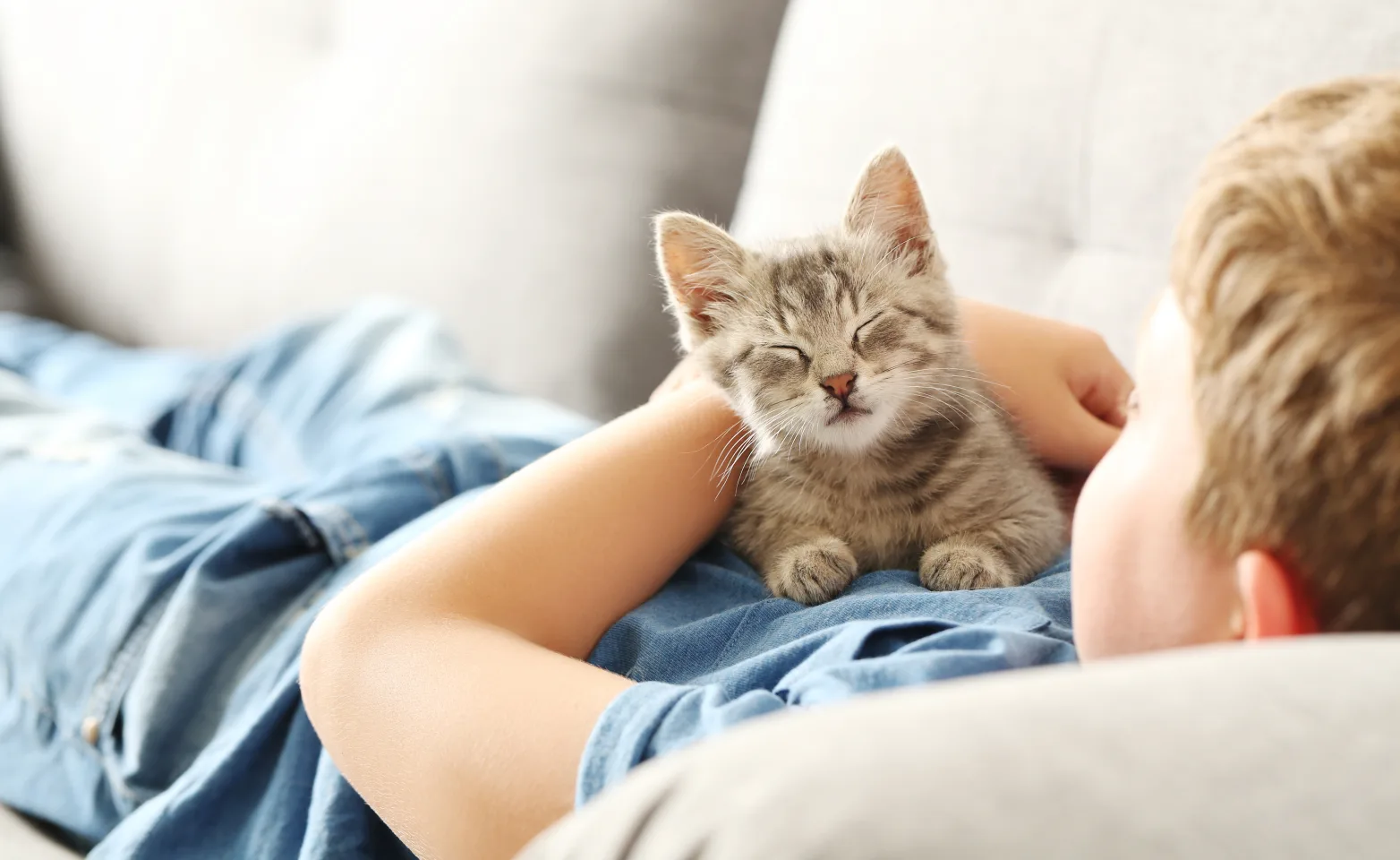 Cat laying down smiling