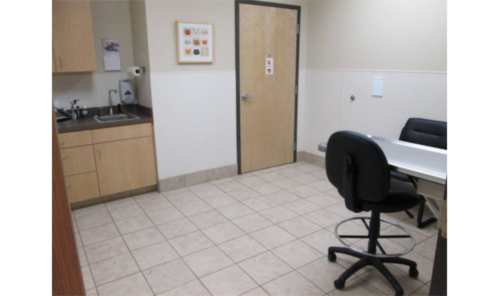 Eagle Animal Clinic Examination Room