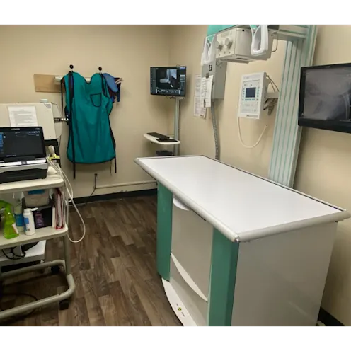 All City Pet Care East X-Ray room All City Pet Care East X-Ray room