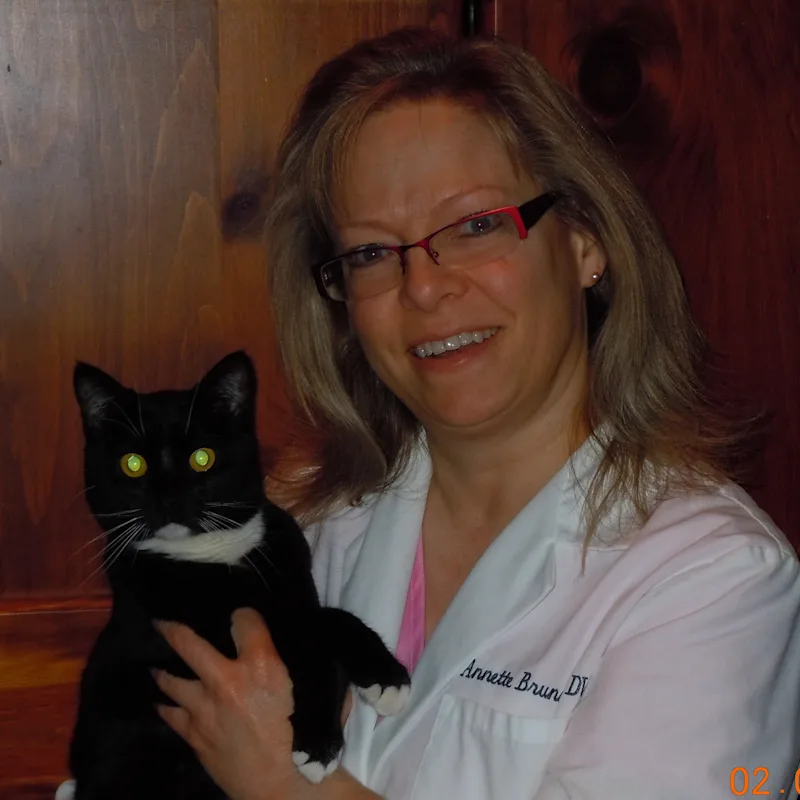 Dr. Annette Brunner Dr. Annette Brunner