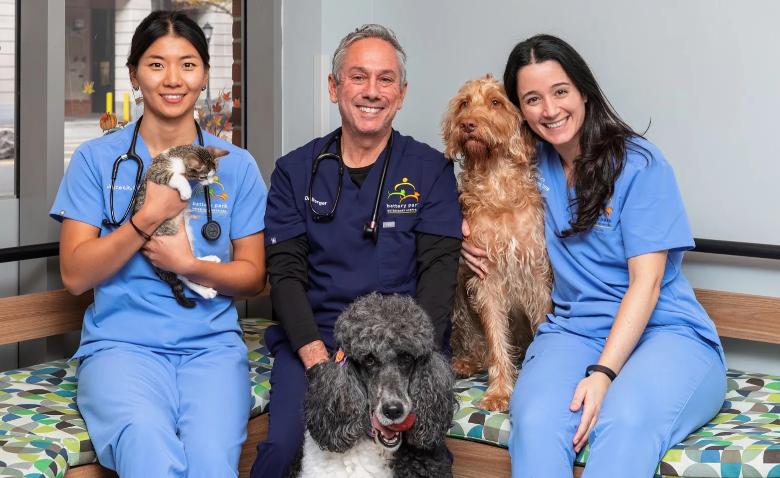 Battery Park Veterinarians Battery Park Veterinarians