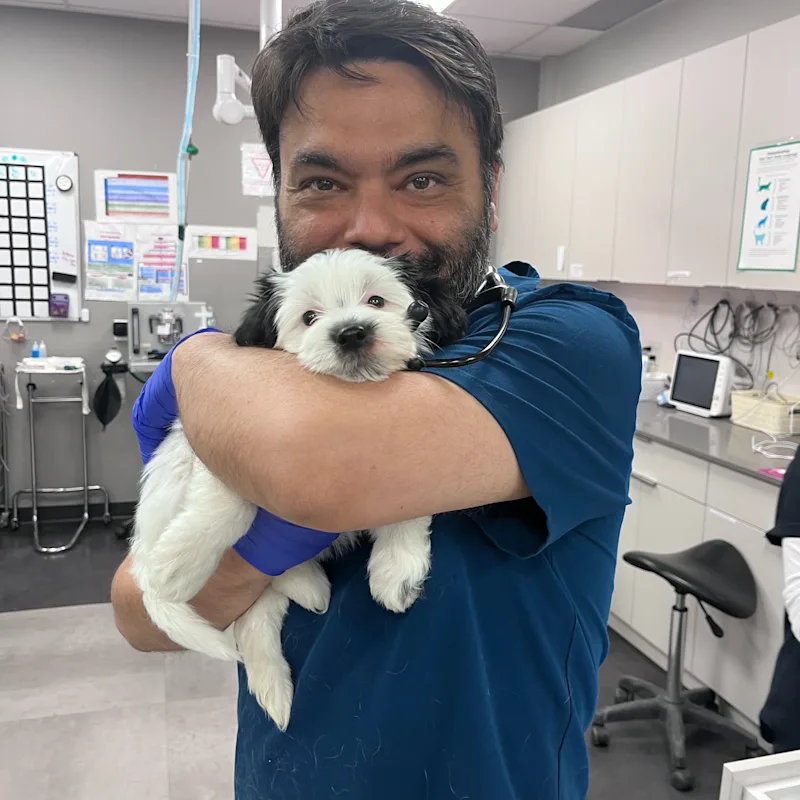 Dr. Manpreet Singh Dr. Manpreet Singh