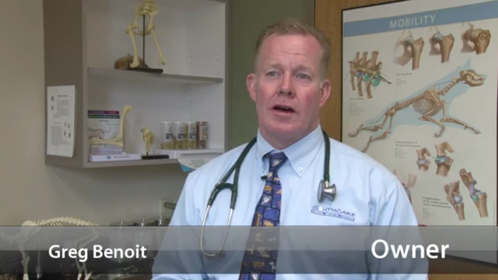 screenshot from SouthCare Animal Medical Center's welcome video