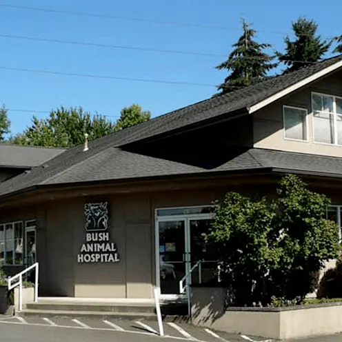 Hospital Exterior Hospital Exterior