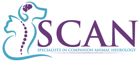 Specialists in Companion Animal Neurology (SCAN) Logo