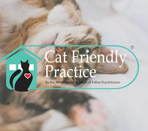 Cat Friendly Practice certified by American Association of Feline Practitioners Cat Friendly Practice certified by American Association of Feline Practitioners