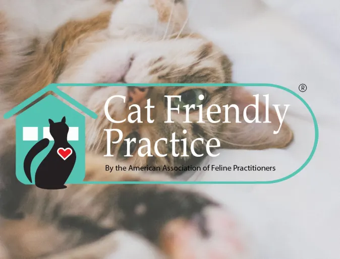 Cat Friendly Practice certified by American Association of Feline Practitioners