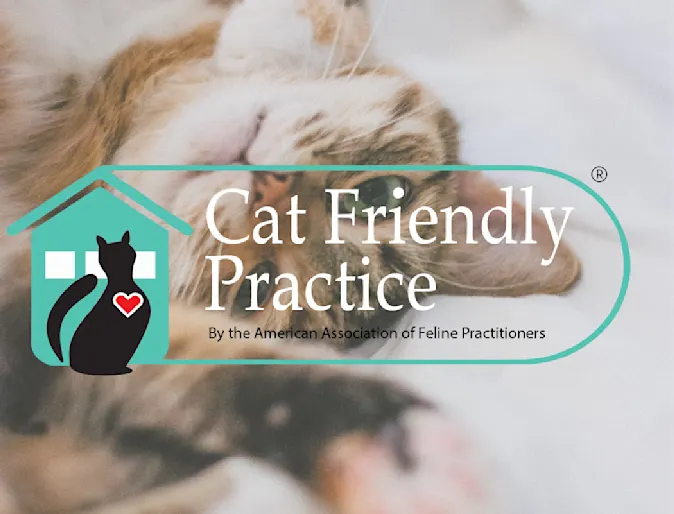 Cat Friendly Practice certified by American Association of Feline Practitioners