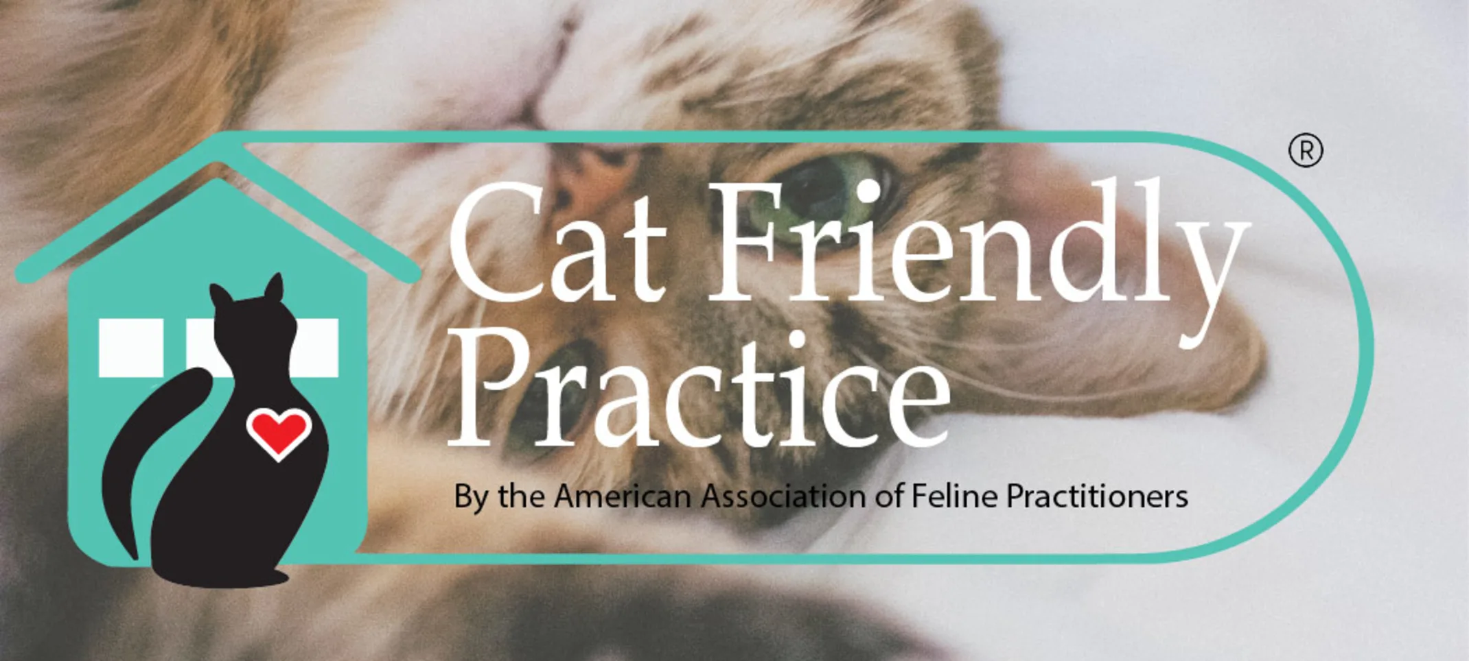 Cat Friendly Practice certified by American Association of Feline Practitioners Cat Friendly Practice certified by American Association of Feline Practitioners